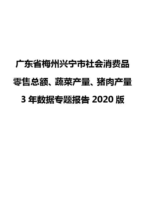 广东省梅州兴宁市社会消费品零售总额、蔬菜产量、猪肉产量3年数据专题报告2020版