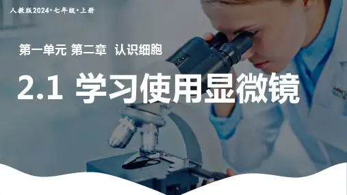 1.2.1学习使用显微镜课件-人教版生物七年级上册 (1)