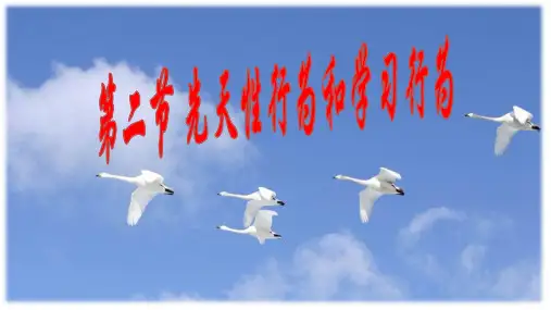 人教版生物八年级上册5. 先天性行为和学习行为课件