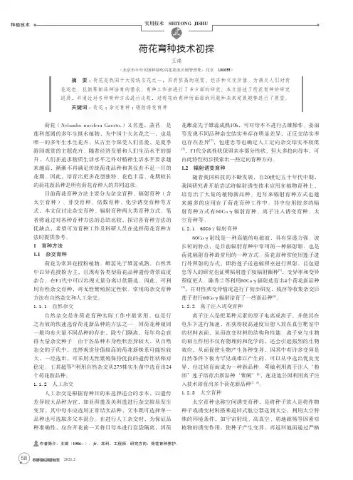 荷花育种技术初探