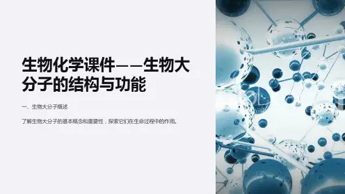 “生物化学课件-生物大分子的结构与功能”