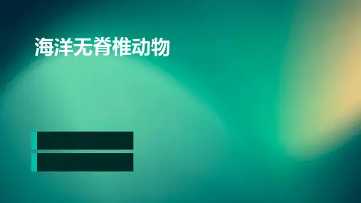 海洋无脊椎动物