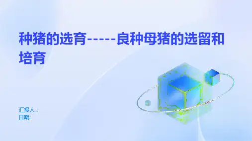 种猪的选育-----良种母猪的选留和培育