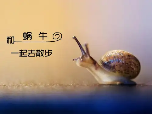 和蜗牛一起去散步PPT课件