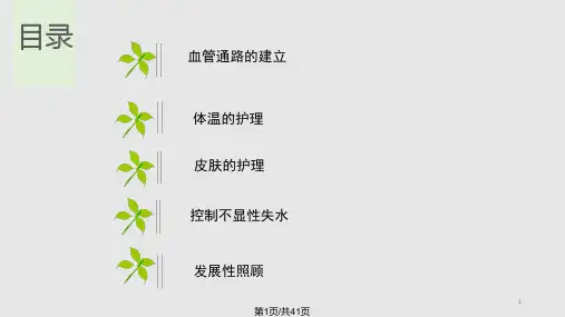 超低出生体重儿护理PPT课件