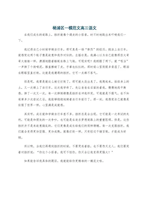杨浦区一模范文高三语文