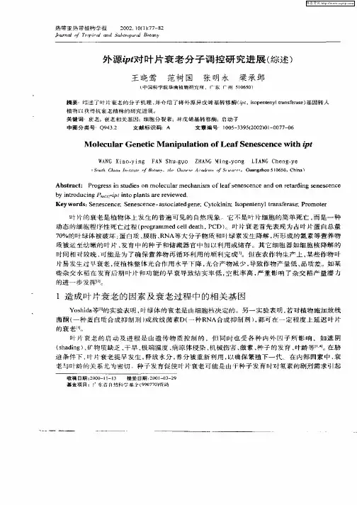 外源ipt对叶片衰老分子调控研究进展(综述)