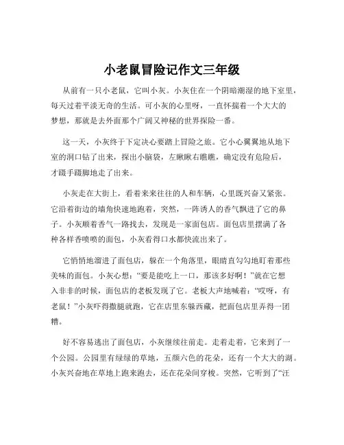 小老鼠冒险记作文三年级