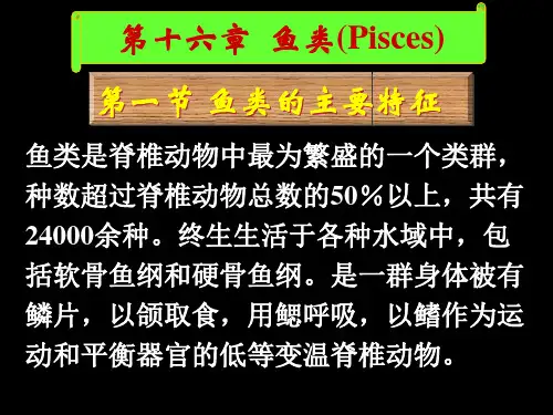 动物学 鱼类 鱼类的主要特征