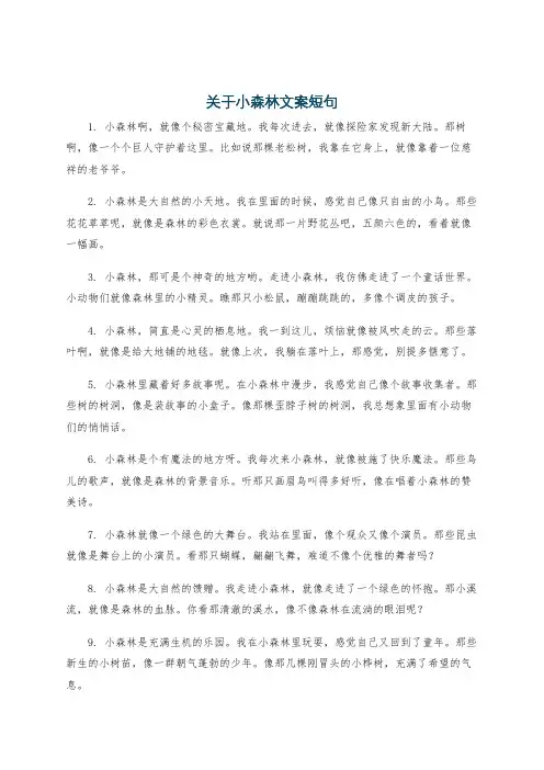 关于小森林文案短句