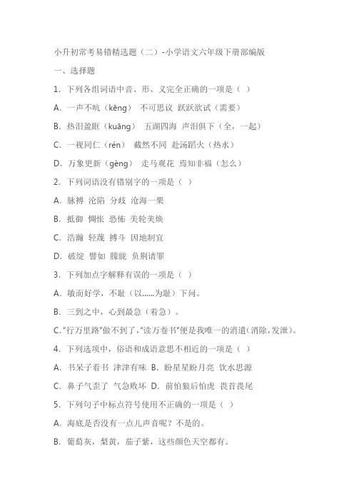 部编版小学语文六年级下册小升初常考易错精选题(二)(含答案)