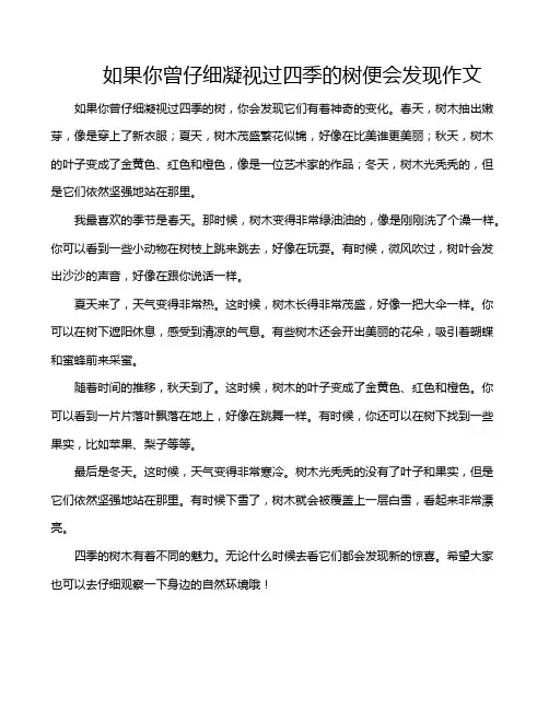 如果你曾仔细凝视过四季的树便会发现作文