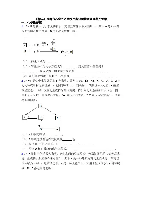【精品】成都市石室外语学校中考化学推断题试卷及答案