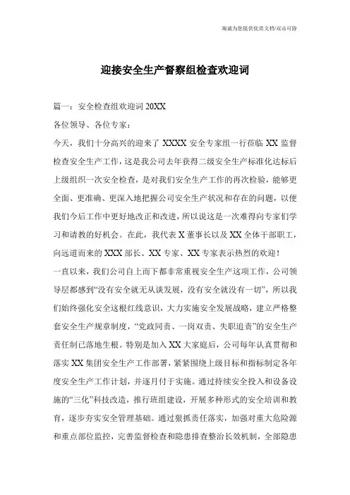 迎接安全生产督察组检查欢迎词