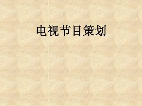 电视节目策划教案3