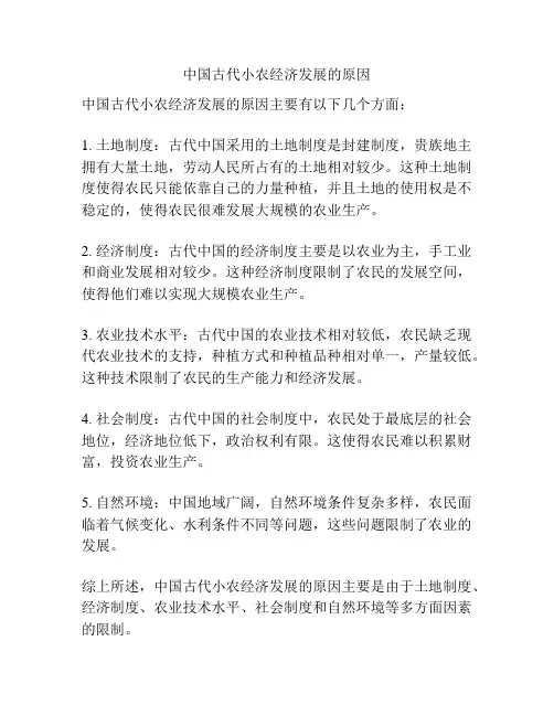 中国古代小农经济发展的原因