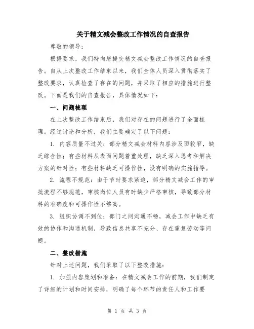 关于精文减会整改工作情况的自查报告