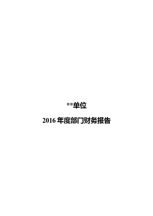 2016年度部门财务报告--模板