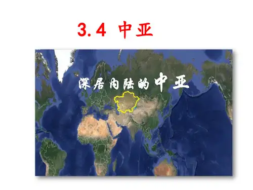 2019-2020学年下学期高考地理中亚复习课件与必刷题(世界地理中国地理)(共41张PPT)