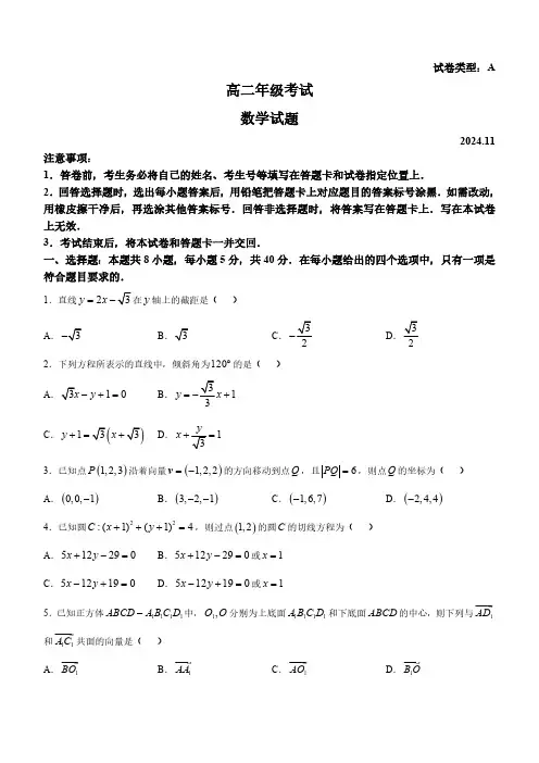 山东省泰安市2024-2025学年高二上学期期中考试数学试题(含答案)
