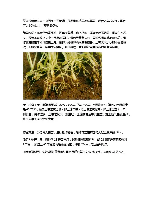 小农人分享芹菜根结线虫病的防治与特征