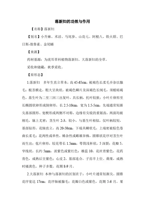 新编医药常识落新妇的功效与作用
