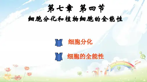 沪科版高中生命科学第二册7.4《细胞分化和植物细胞的全能性》ppt课件1