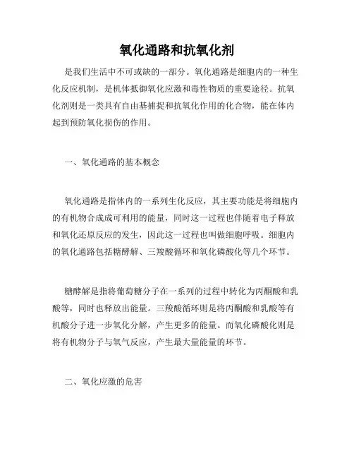氧化通路和抗氧化剂
