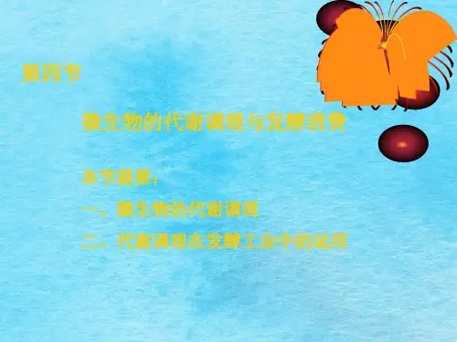 第四节微生物的代谢调节与发酵生产ppt课件