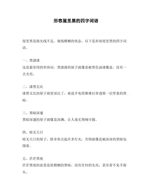 形容屋里黑的四字词语