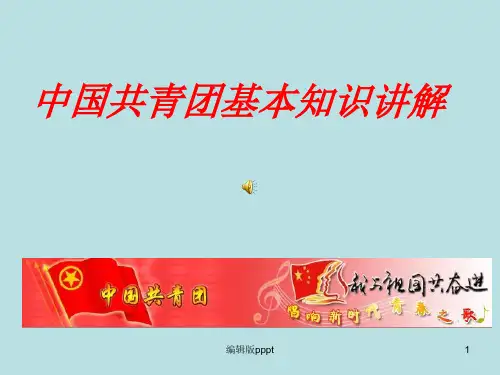 共青团基本知识讲解PPT课件