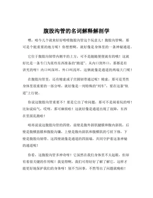 腹股沟管的名词解释解剖学