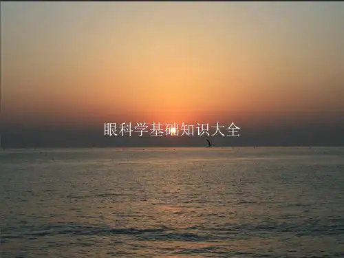 眼科学基础知识大全PPT课件