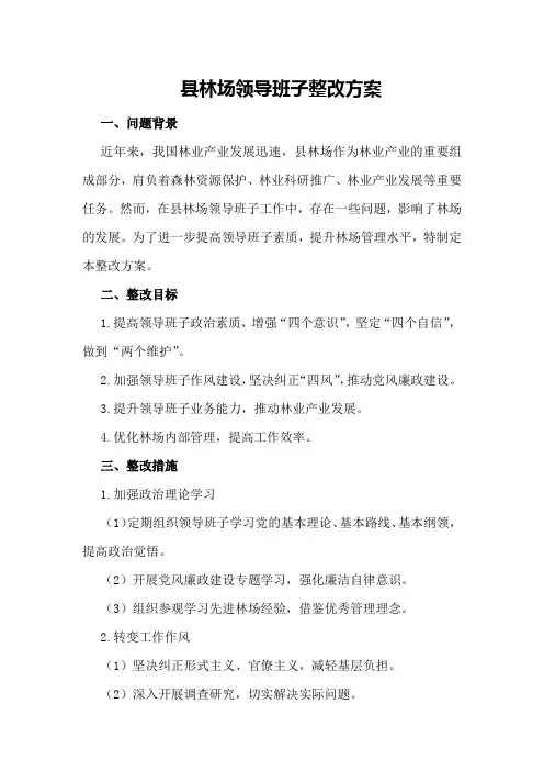 县林场领导班子整改方案