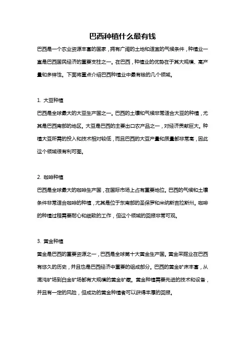 巴西种植什么最有钱