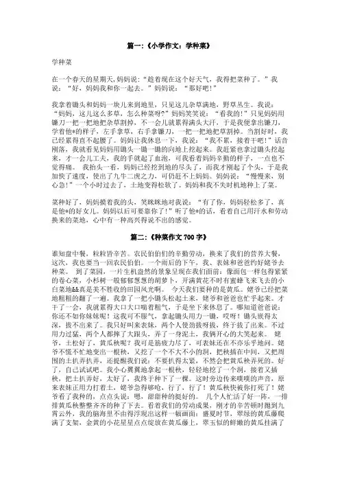 在学校里种菜作文600字