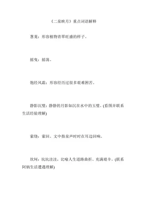 《二泉映月》重点词语解释