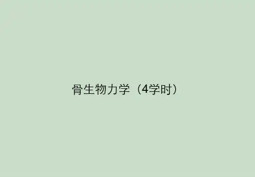 骨生物力学(4学时)
