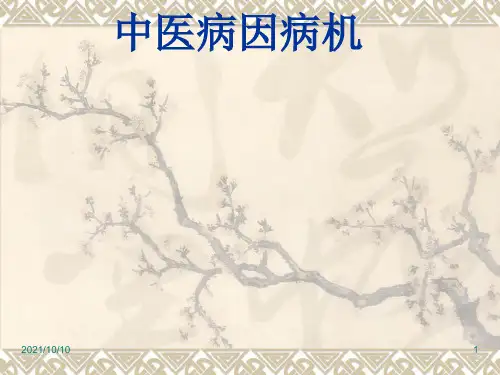 中医病因病机(1)【优质PPT】