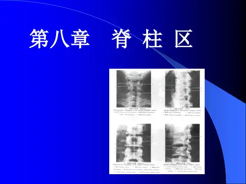 局解第八章 脊柱区