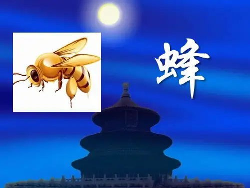 《蜂》PPT精选教学课件