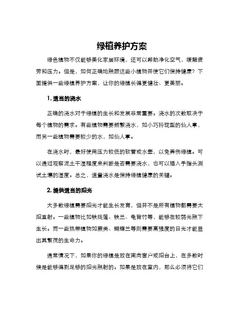 绿植养护方案