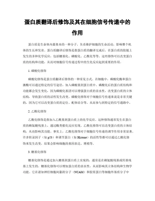 蛋白质翻译后修饰及其在细胞信号传递中的作用