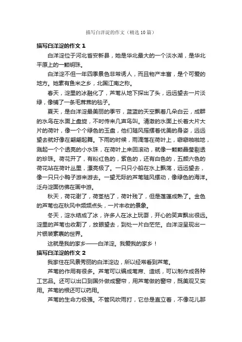 描写白洋淀的作文（精选10篇）