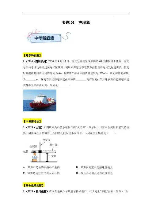2024年中考物理真题分类汇编(全国通用)专题01  声现象(第01期)(原卷版)