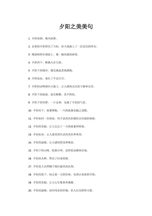 夕阳之美美句