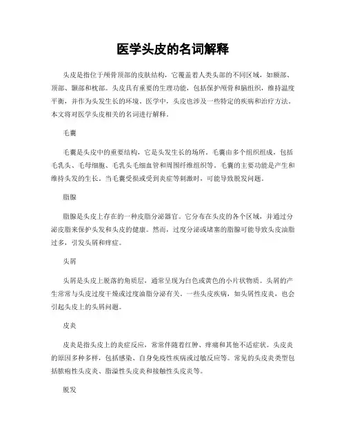 医学头皮的名词解释