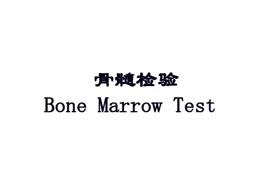 骨髓检验2