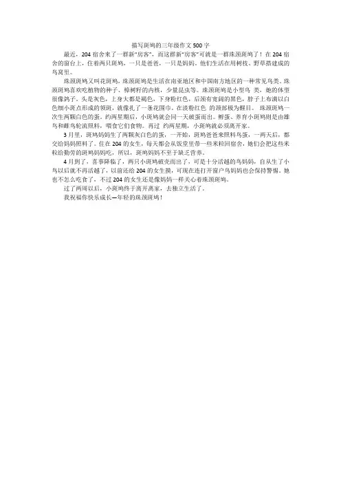 描写斑鸠的三年级作文500字