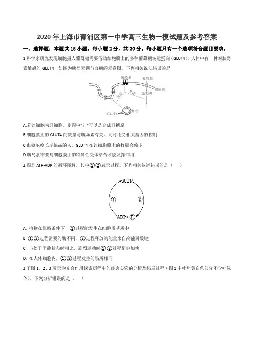 2020年上海市青浦区第一中学高三生物一模试题及参考答案